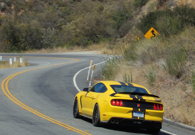 Illustration for article titled The Ford Shelby GT350R Is The Best Performance Car Ford's Ever Built